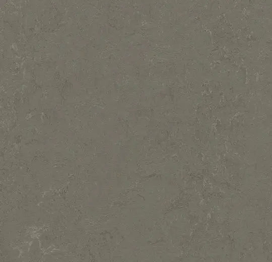 Forbo Flooring Marmoleum Composition Sheet 6.5' x 105'