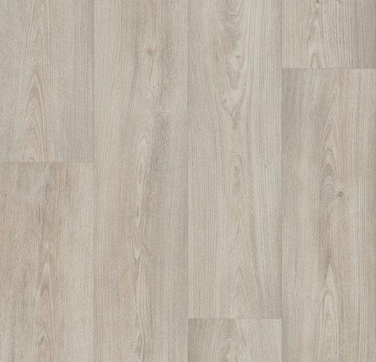 Forbo Flooring Eternal Wood 6.5' x 82'