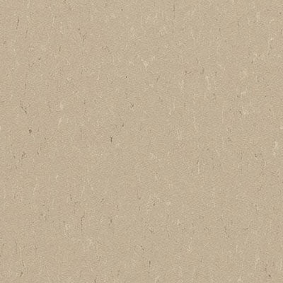 Forbo Flooring Marmoleum Composition Tile (Mct) 13.11" x 13.11"