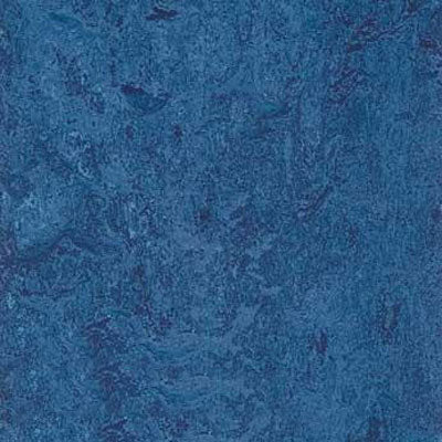 Forbo Flooring Marmoleum Composition Tile (Mct) 13.11" x 13.11"