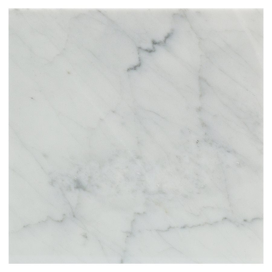 Soho Studio White Carrara 12" x 12"